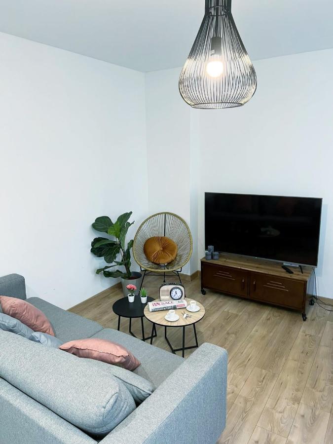 Le Convivial, Appartement Centre Ville Mulhouse Eksteriør bilde